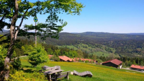 Apartman Šumava - Bavorský les